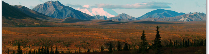 header7.jpg